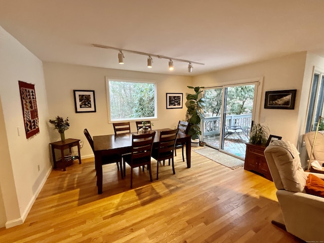 dining area featuring a healthy amount of sunlight, rail lighting, and light hardwood / wood-style flooring