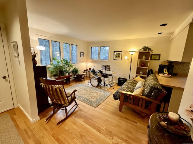 living room with light hardwood / wood-style flooring