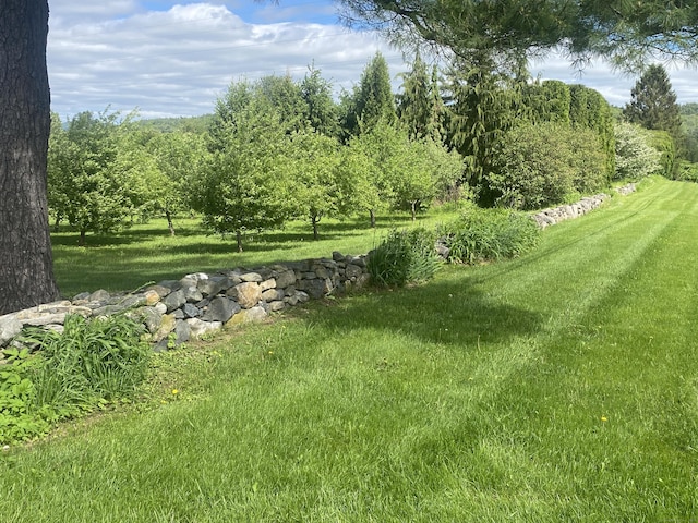 140 Lime Rock Rd, Salisbury, CT 06039 - view of green lawn