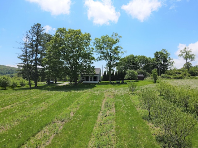 140 Lime Rock Rd, Salisbury, CT 06039 - view of yard