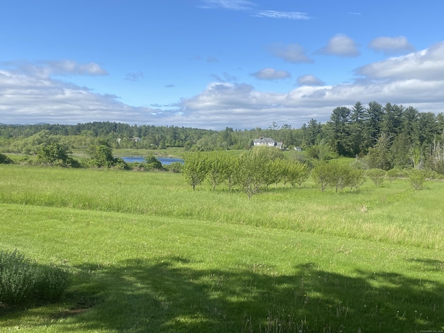 140 Lime Rock Rd, Salisbury, CT 06039 - view of yard with a rural view