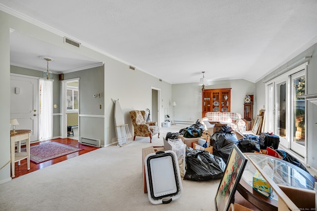 living room featuring a baseboard radiator, wood-type flooring, a textured ceiling, lofted ceiling, and ornamental molding