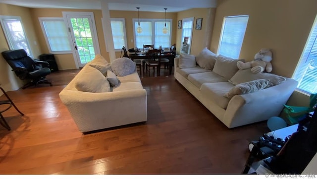 living room with hardwood / wood-style flooring and a wealth of natural light