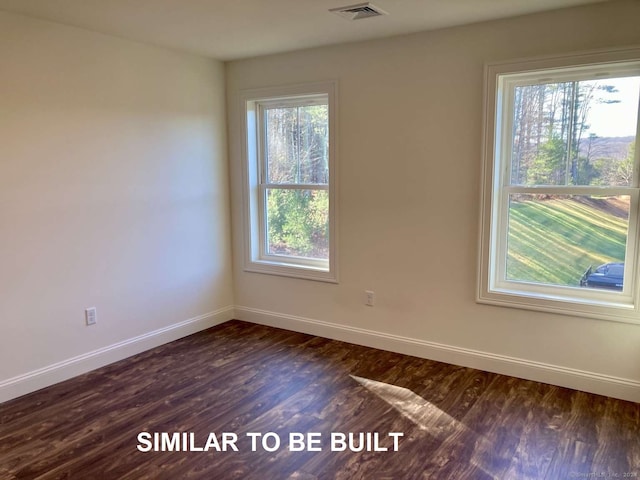 unfurnished room with dark wood-type flooring and a healthy amount of sunlight