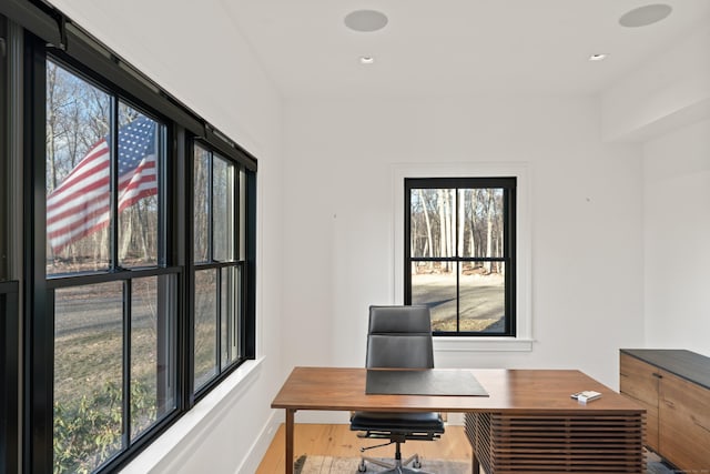 office space featuring hardwood / wood-style flooring and plenty of natural light