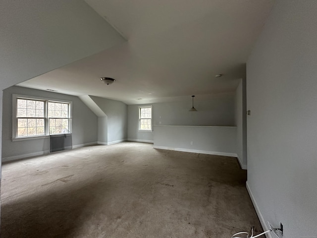 additional living space with carpet flooring