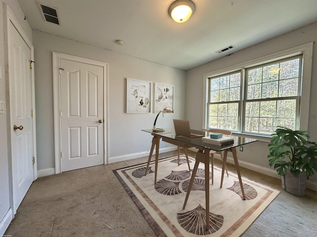 view of carpeted office space