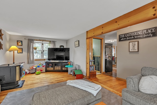 living room featuring wood-type flooring and a wood stove