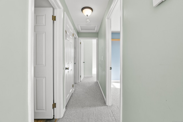 corridor featuring light colored carpet