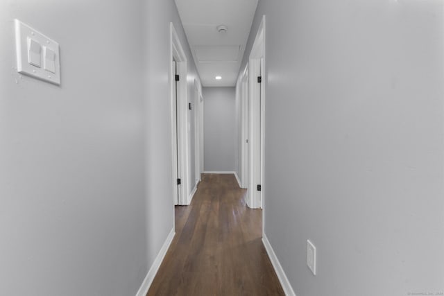 hallway featuring dark hardwood / wood-style flooring