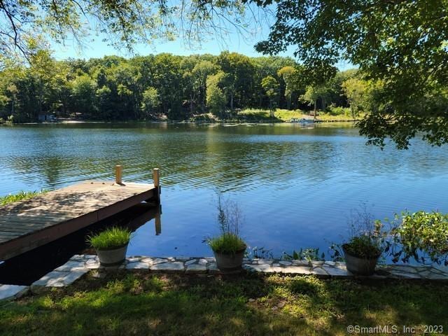 view of dock with a water view