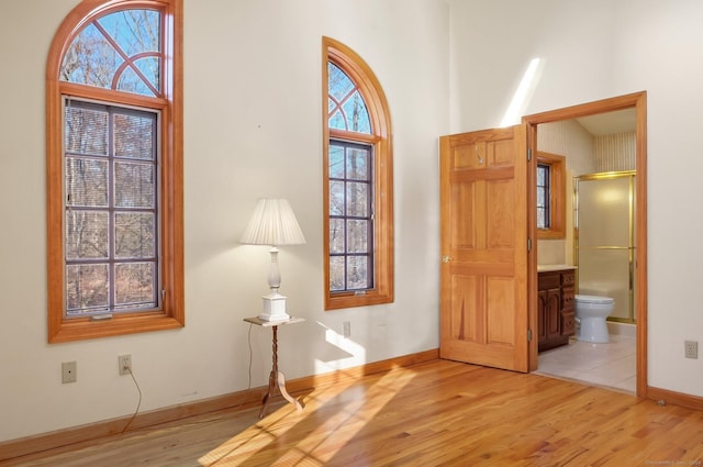 entrance foyer featuring light hardwood / wood-style floors and a wealth of natural light