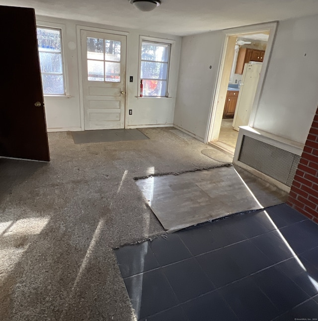 entryway with ceiling fan and plenty of natural light