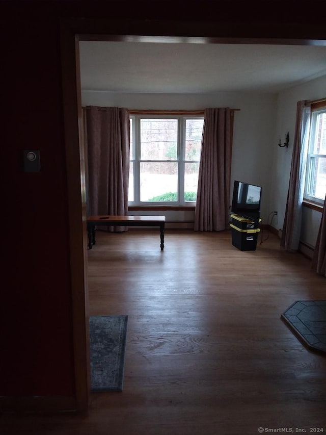 unfurnished room with hardwood / wood-style floors and plenty of natural light