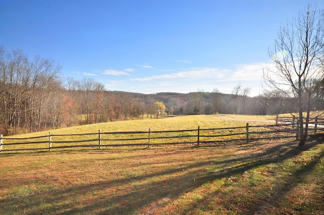 view of yard with a rural view and fence