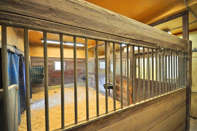 view of horse barn