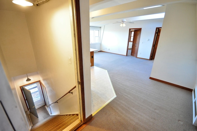 corridor featuring carpet flooring and a wealth of natural light