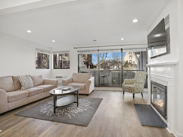 living room featuring light hardwood / wood-style floors and a wall mounted air conditioner