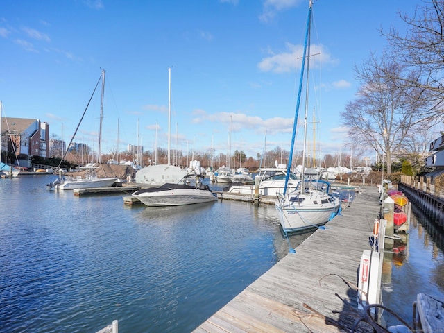 dock area with a water view