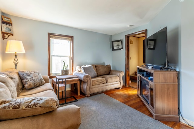 living room featuring wood-type flooring