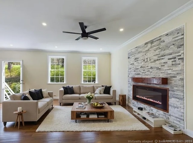 living room with a stone fireplace, ceiling fan, dark wood-type flooring, and ornamental molding