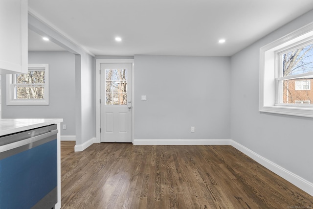 entryway featuring dark hardwood / wood-style flooring and a wealth of natural light