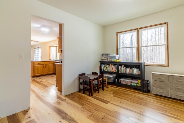 interior space featuring light hardwood / wood-style floors