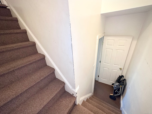 stairs featuring carpet flooring