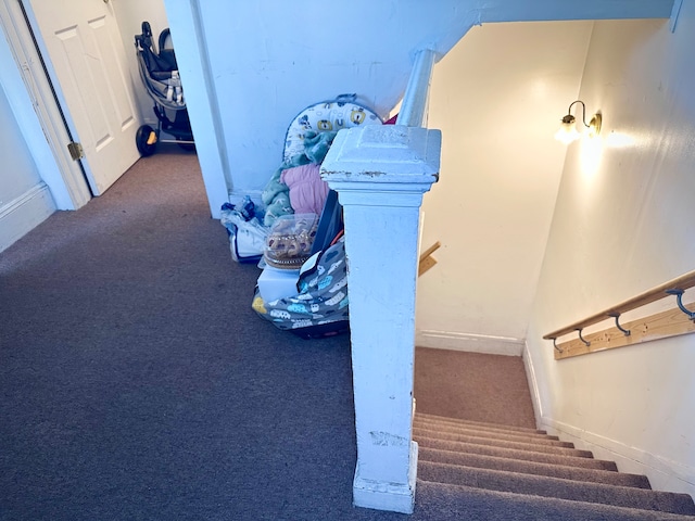 staircase featuring carpet flooring