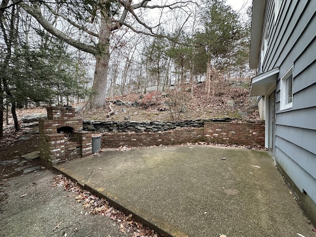 view of yard with a patio area