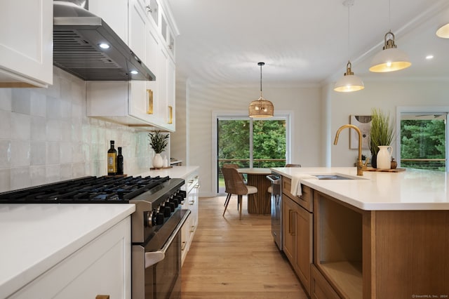 kitchen with stainless steel appliances, pendant lighting, light hardwood / wood-style flooring, white cabinets, and range hood