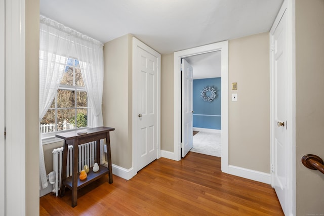 hallway featuring wood-type flooring and radiator