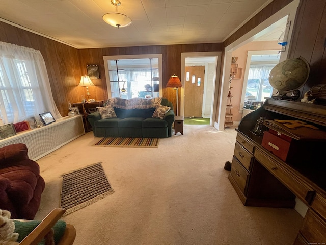 carpeted living room with ornamental molding and wooden walls