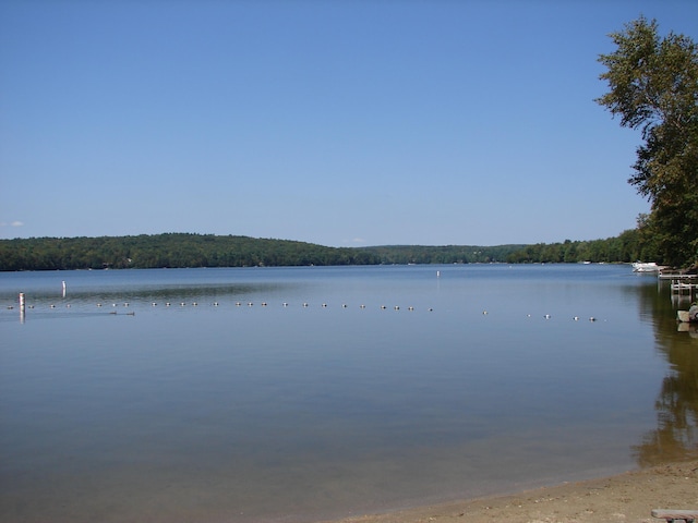 68 Paxton Ct, Goshen, CT 06756 - water view with a heavily wooded area