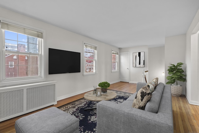 living room with hardwood / wood-style flooring and radiator