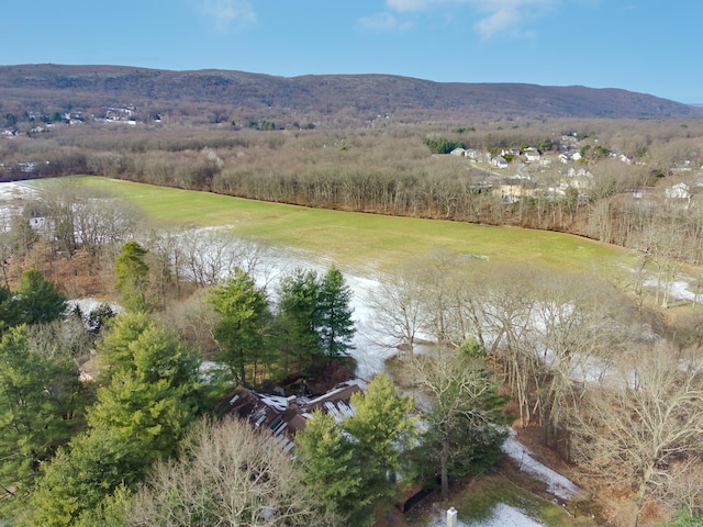 aerial view with a water and mountain view