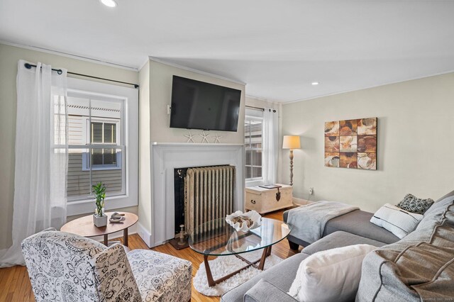 living room featuring a healthy amount of sunlight and light hardwood / wood-style flooring