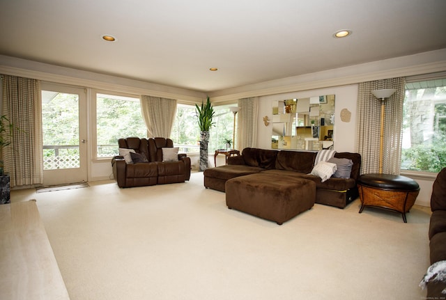 living room with carpet flooring