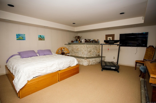 bedroom featuring carpet and a tray ceiling