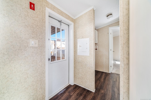 corridor featuring electric panel, crown molding, and dark wood-type flooring