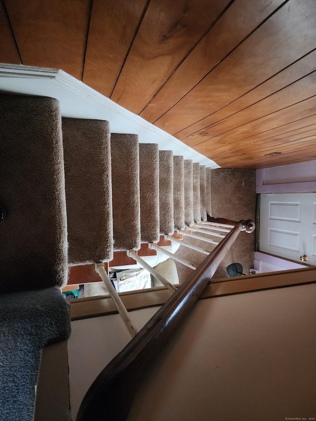 stairway with wood ceiling