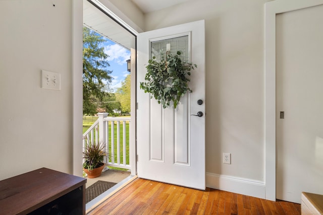 foyer with wood-type flooring