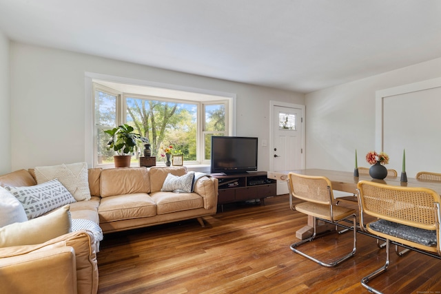 living room featuring hardwood / wood-style floors