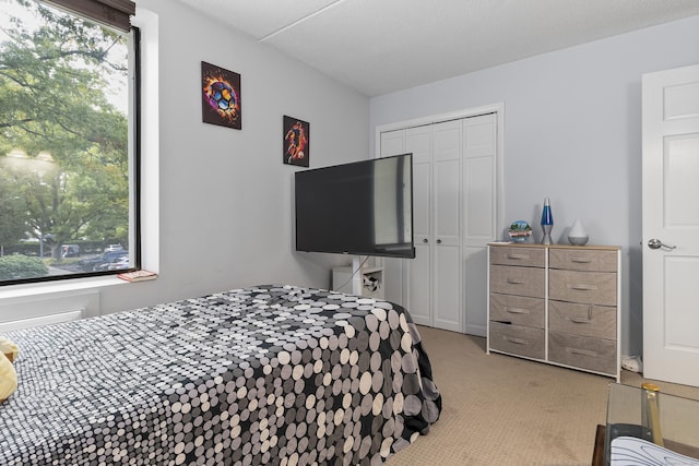 carpeted bedroom featuring a closet