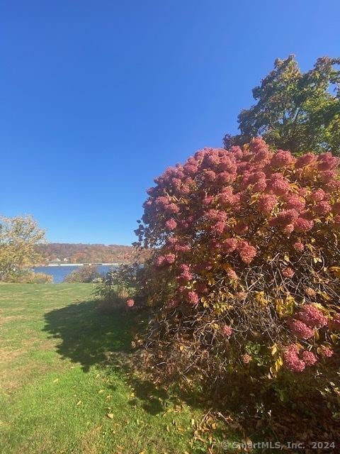 view of yard with a water view