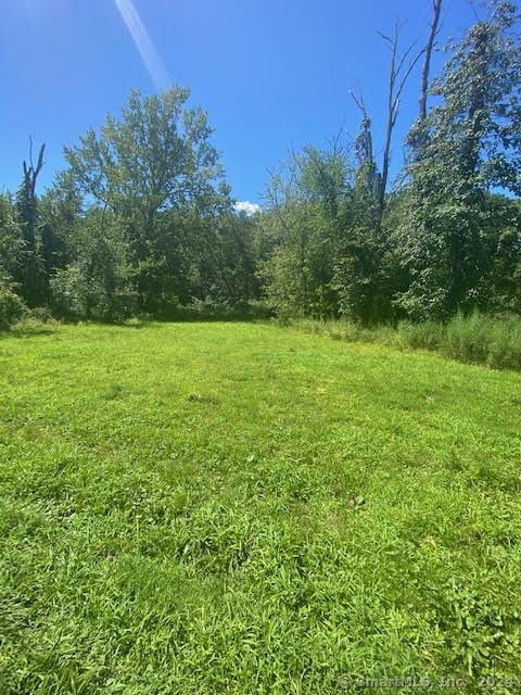 94 Little Meadow Rd, Haddam, CT 06438 - view of yard