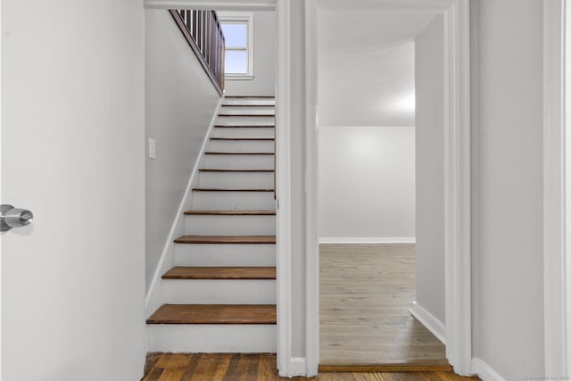 staircase with hardwood / wood-style flooring