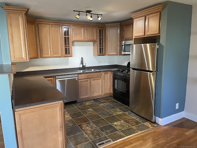 kitchen with stainless steel appliances, dark wood-type flooring, and sink