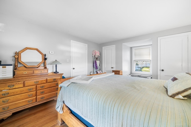 bedroom featuring wood-type flooring