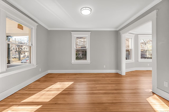 unfurnished room featuring crown molding and light hardwood / wood-style flooring